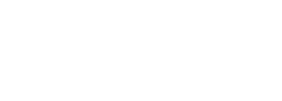 MYDIECASTCARS logo white